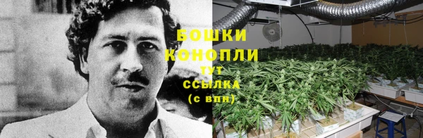 спиды Белокуриха